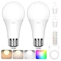 Yochoice Rechargeable Battery Operated A19 Light Bulb with Remote &amp; Timer