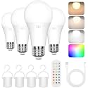 Rechargeable Battery Operated A19 Light Bulbs with Remote, Non-Hardwired