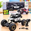 Rechargeable Remote Control Monster Truck RC Car