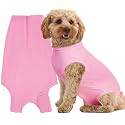 Recovery Suit for Female Dogs, Dog Cone Alternative After Spay