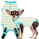 Recovery Suit for Female Dogs, Dog Cone Alternative After Spay