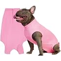 Recovery Suit for Female Dogs, Dog Cone Alternative After Spay