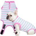 Recovery Suit for Female Dogs, Dog Cone Alternative After Spay
