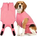Recovery Suit for Female Dogs, Dog Cone Alternative After Spay