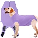 Recovery Suit for Female Dogs, Dog Cone Alternative After Spay