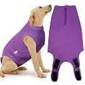 Recovery Suit for Female Dogs, Dog Cone Alternative After Spay