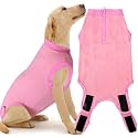 Recovery Suit for Female Dogs, Dog Cone Alternative After Spay