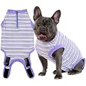 Recovery Suit for Female Dogs, Dog Cone Alternative After Spay