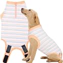 Recovery Suit for Female Dogs, Dog Cone Alternative After Spay