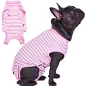 Recovery Suit for Female Dogs, Dog Cone Alternative After Spay