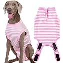 Recovery Suit for Female Dogs, Dog Cone Alternative After Spay