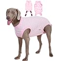 Recovery Suit for Female Dogs, Dog Cone Alternative After Spay