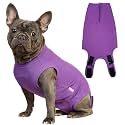 Recovery Suit for Female Dogs, Dog Cone Alternative After Spay