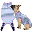 Recovery Suit for Female Dogs, Dog Cone Alternative After Spay