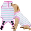 Recovery Suit for Female Dogs, Dog Cone Alternative After Spay