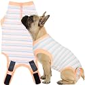 Recovery Suit for Female Dogs, Dog Cone Alternative After Spay