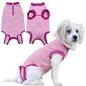 Recovery Suit for Female Dogs, Dog Cone Alternative After Spay