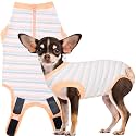 Recovery Suit for Female Dogs, Dog Cone Alternative After Spay