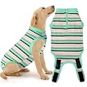 Recovery Suit for Female Dogs, Dog Cone Alternative After Spay