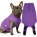 Recovery Suit for Female Dogs, Dog Cone Alternative After Spay