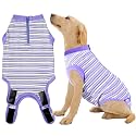 Recovery Suit for Female Dogs, Dog Cone Alternative After Spay