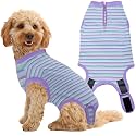 Recovery Suit for Female Dogs, Dog Cone Alternative After Spay