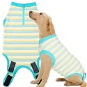 Recovery Suit for Female Dogs, Dog Cone Alternative After Spay