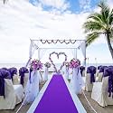Rectangular Carpet For Wedding,Stage,Exhibition,Party,Office,Hotels Decoration,Living Room And Wall To Wall Carpet Size 10 X 80 Feet,Purple