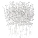RECUTMS 36Pcs Eucalyptus Leaves Stems14.6In White Christmas Halloween Pick