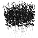 RECUTMS 36Pcs Faux Black Eucalyptus Leaves Stems 14.6in Halloween Picks
