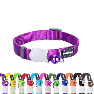 red dingo classic cat collar one size fits all purple