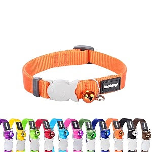 red dingo classic cat collar one size fits all orange