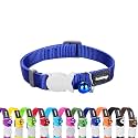 Red Dingo Classic Cat Collar, One Size Fits All, Blue
