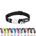 Red Dingo Classic Cat Collar, One Size Fits All, Black