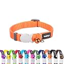 Red Dingo Classic Cat Collar, One Size Fits All, Orange