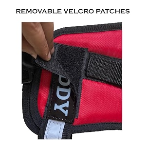 Red Dog Vest Harness with Leash -