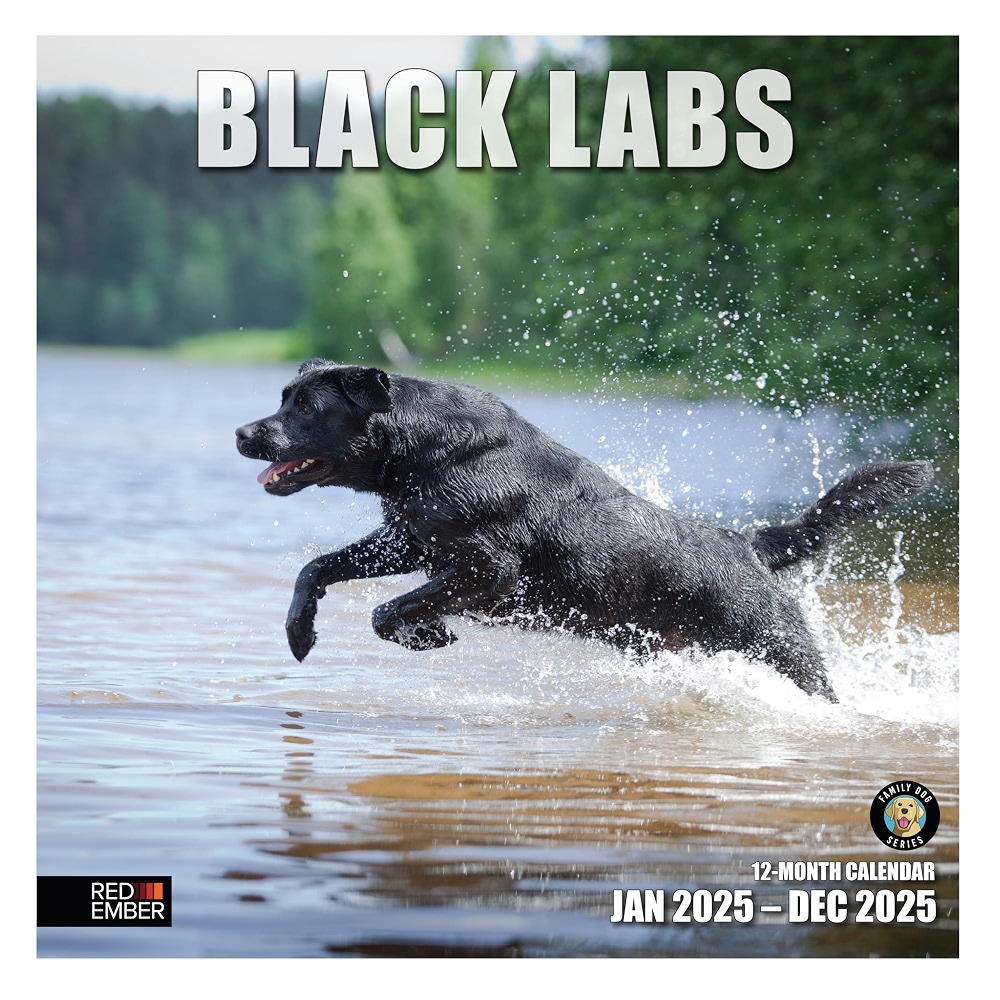 RED EMBER Black Labs 2026 Wall Calendar 12 Month | 12 inch x 24 inch ...