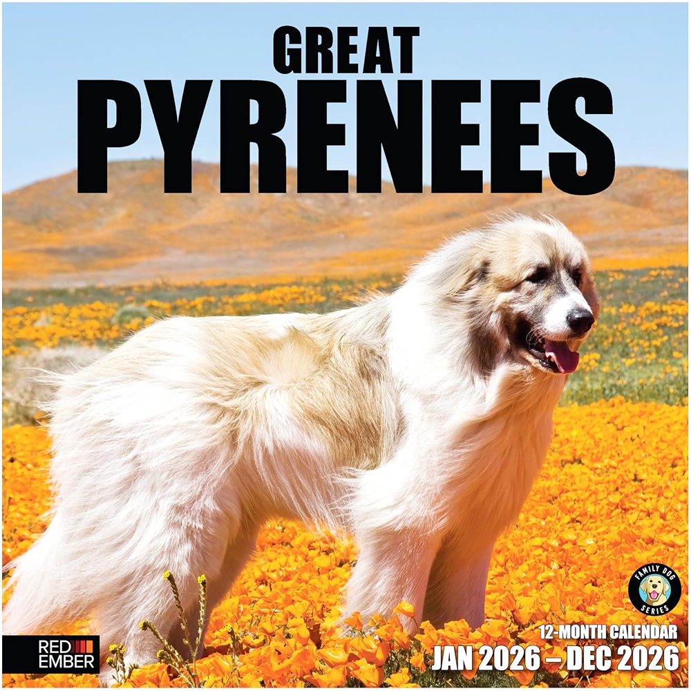 RED EMBER Great Pyrenees 2026 Wall Calendar 12 Month | 12 inch x 24 ...