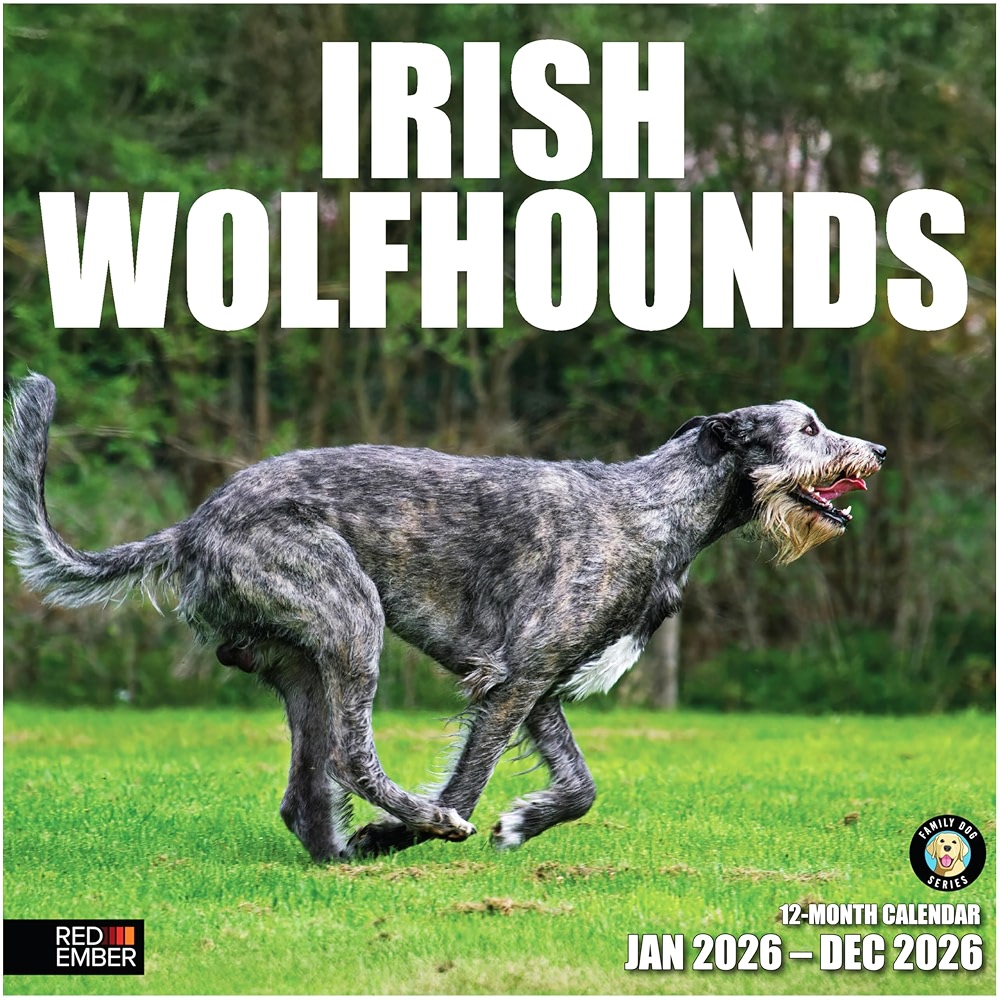 RED EMBER Irish Wolfhounds 2026 Wall Calendar 12 Month | 12 inch x 24 ...