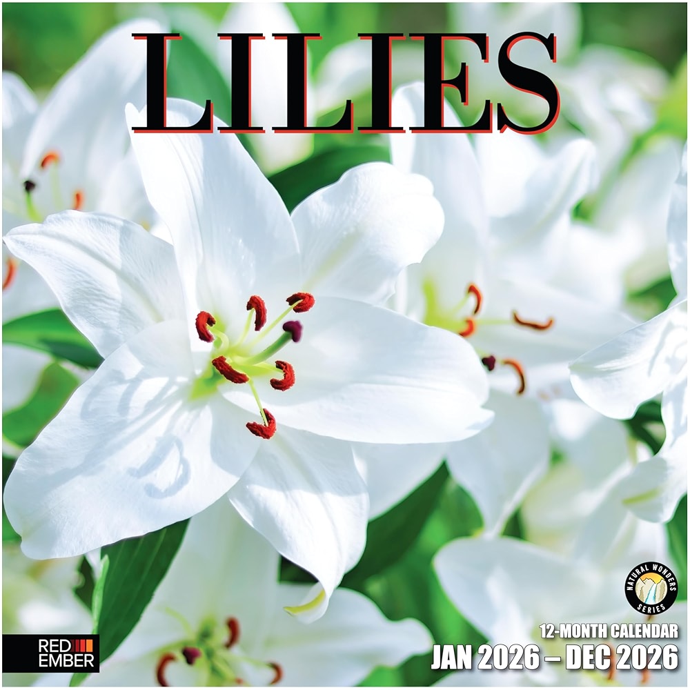 RED EMBER Lilies 2026 Wall Calendar 12 Month | 12 inch x 24 inch Open ...
