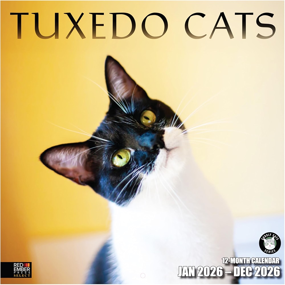 RED EMBER Select - Tuxedo Cats 2026 Wall Calendar 12 Month | 12 inch x ...