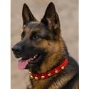 Red Nylon Dog Collar with Golden Bells for Large Dogs