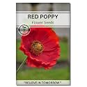 Navika Seeds ; Grow with Us Red Poppy Flower Seeds for Home Gardening&amp; Terrace Gardening Winter &amp; Summer Blooms in India-Includes Free E-Book for Kitchen,Backyard,Gardening &amp; Planting.High Germination