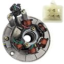 RedCap 6-Coil 5-Wire Stator Magneto With Plate for 50cc 70cc 90cc 110cc 125cc GY6 ATV Dirt Bike Scooter Go-Kart Buggy Compatible with Taotao Coolster Roketa Sunl Tank JCL Lance Jonway
