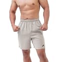 ReDesign Apparels Men's Hybrid Shorts (Nsshorts_Tech Beige_3XL)