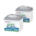Redodo 12V 50Ah Bluetooth LiFePO4 Lithium Battery for Trolling Motor 2 Pack