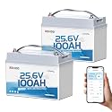 Redodo 24V 100Ah LiFePO4 Trolling Motor Battery, Group 31, 2 Pack