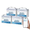Redodo 24V 100Ah Mini Bluetooth LiFePO4 Battery, 4 Pack