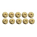 REENA Bronze Button Carving Designer Buttons for Coats Shirts Blazers (20 Fancy Synthetic Resin PVC)