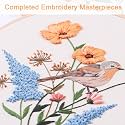 REEWISLY 3p Embroidery Starter Kit Patterns, DIY Adult Cross Stitch Kits Beginner, Including 3 Plastic Embroidery Rings, 1 Scissors, Colored Threads,Needles and Instructions